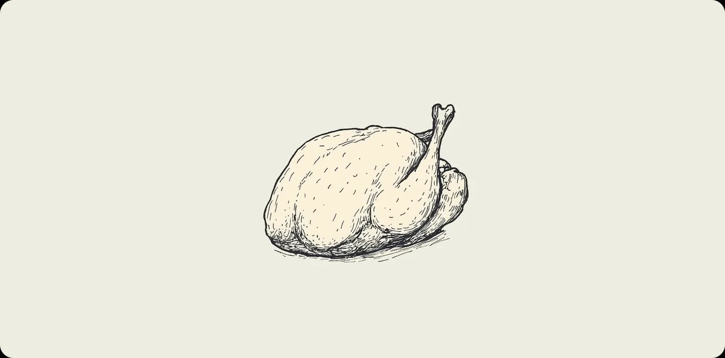 Illustration of turkey